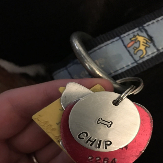 critter bling custom tag