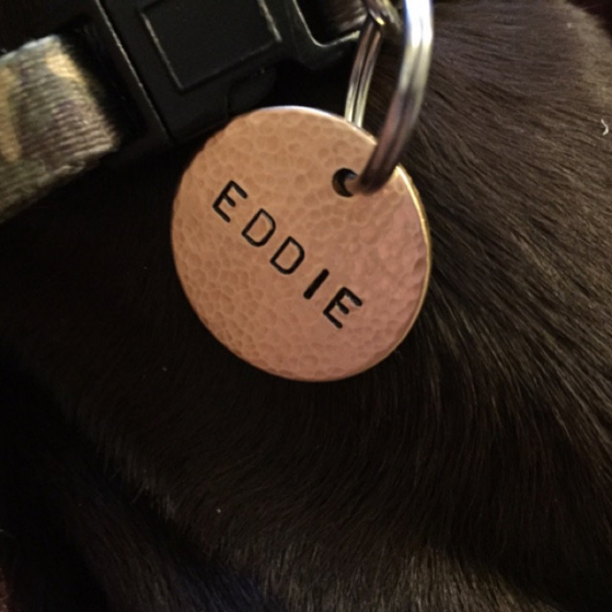 critter bling dog name tag