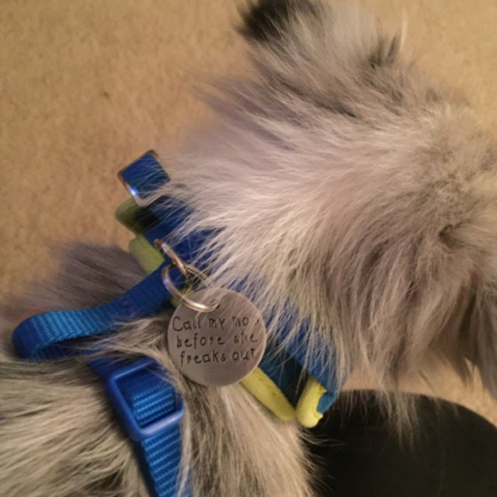 critter bling pet ID tag