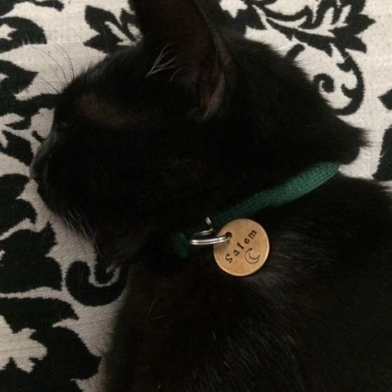 critter bling cat tag