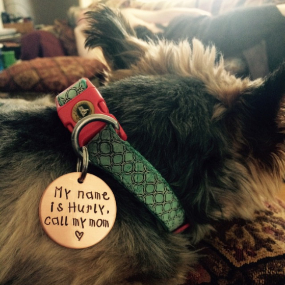 critter bling custom tag