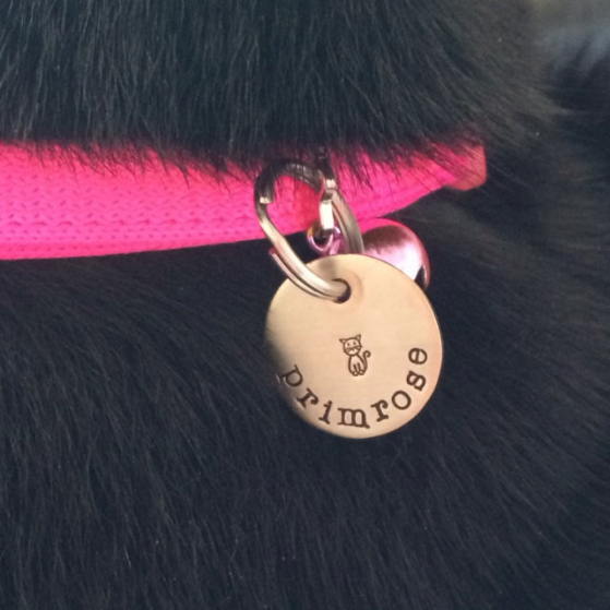 critter bling cat tag