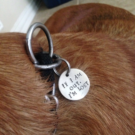 critter bling custom tag