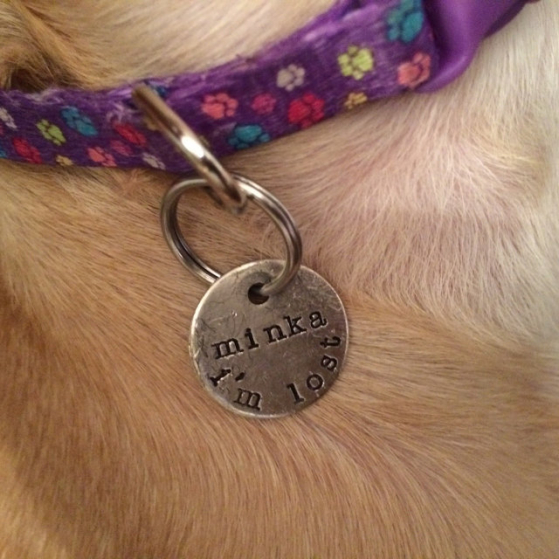 critter bling tag 